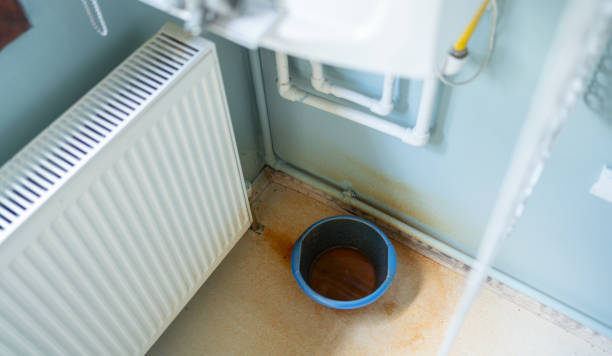 Best Professional water damage repair  in Johnson City, NY