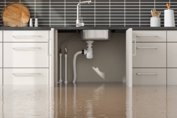 Best Water damage restoration near me  in Johnson City, NY